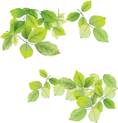 leaves transparent.